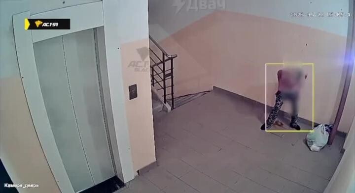 Девушка с ребёнком не добежала до туалета и заложила «мину» жителям многоэтажки в Новосибирске