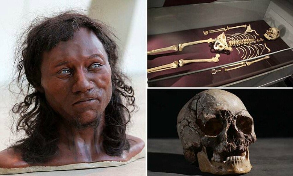 Правда ли, что в Англии нашли родственника ископаемого "Чеддарского человека", который жил в этих краях 9 тысяч лет назад?