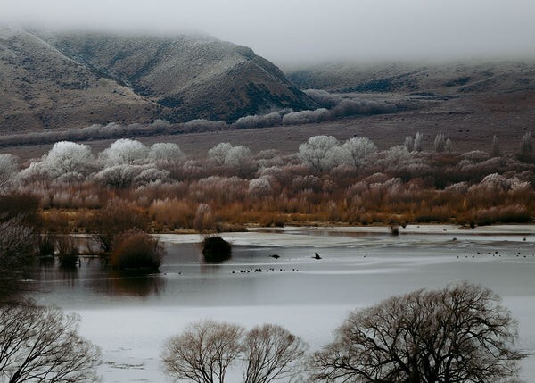 30. Озеро Бенмор в Новой Зеландии во время мороза