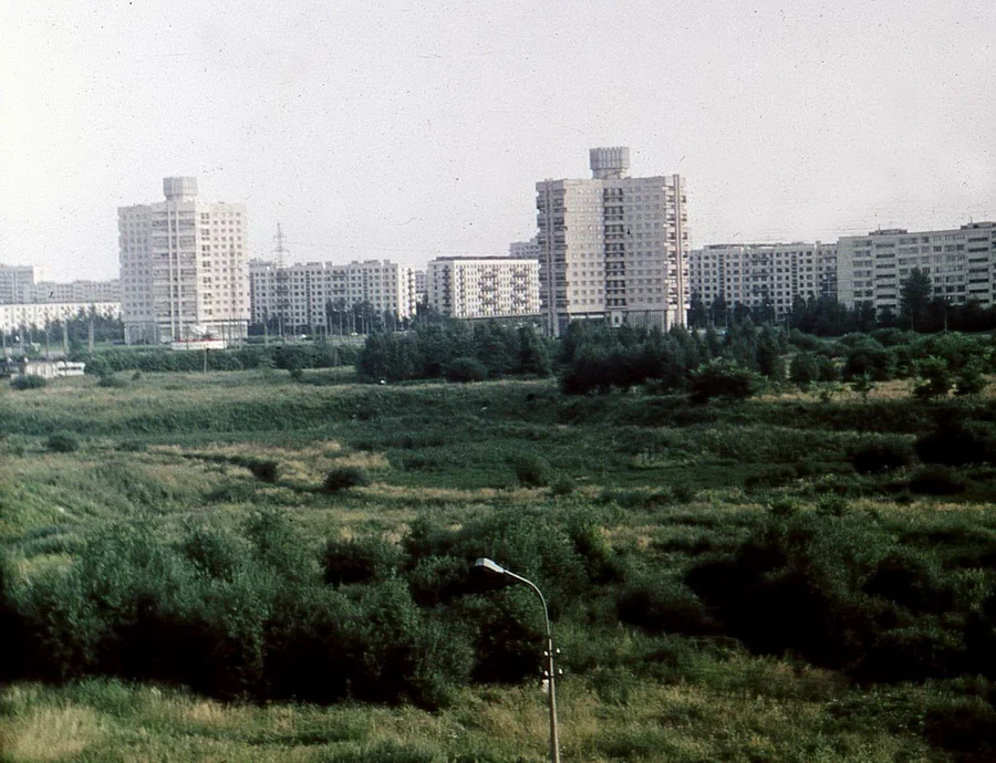 Только-только построенные дома-трилистники на Гражданском проспекте. Вид с проспекта Луначарского.