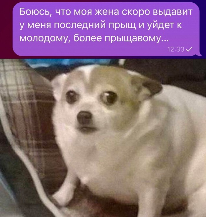 Скрины из соцсетей 