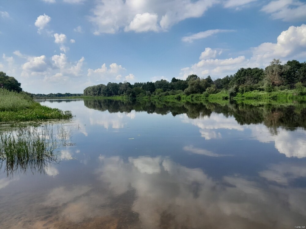 Река Березина, недалеко от г