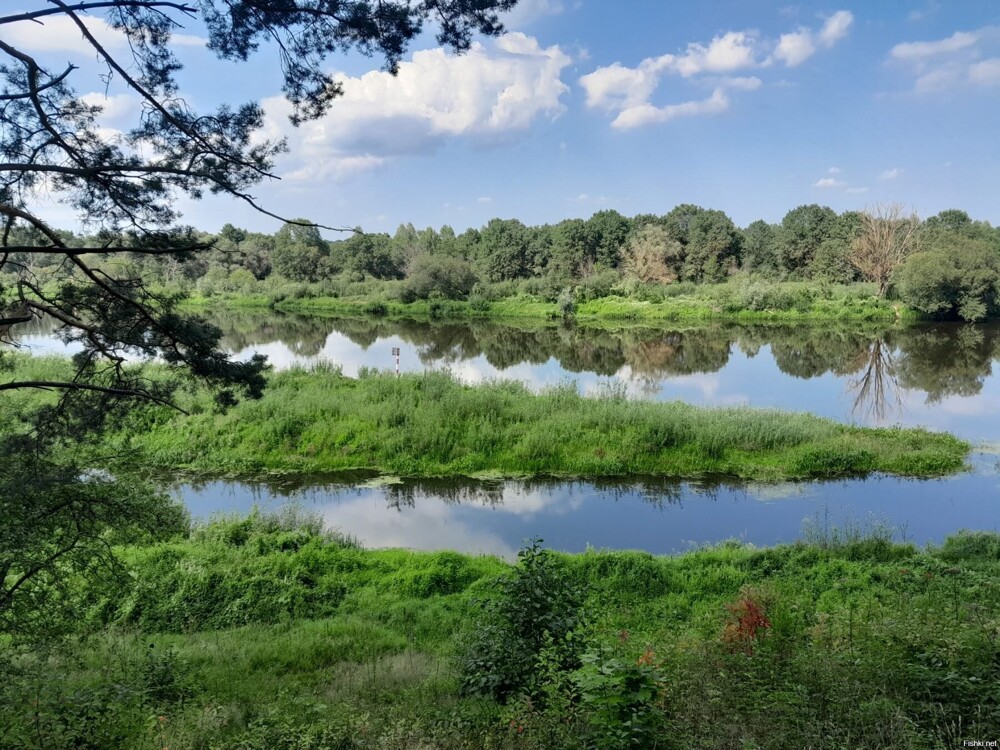 Река Березина, недалеко от г