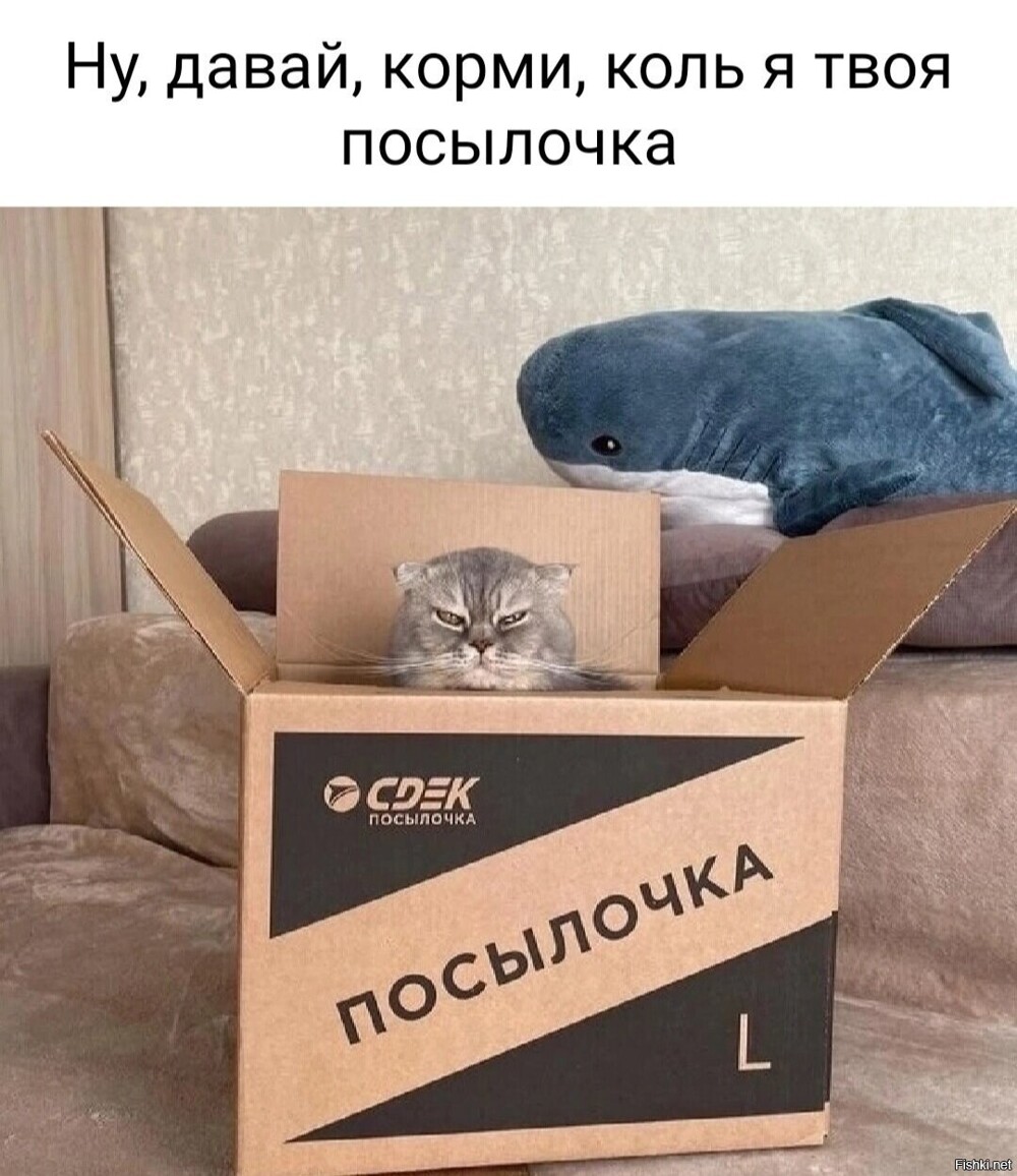 Доброе утро