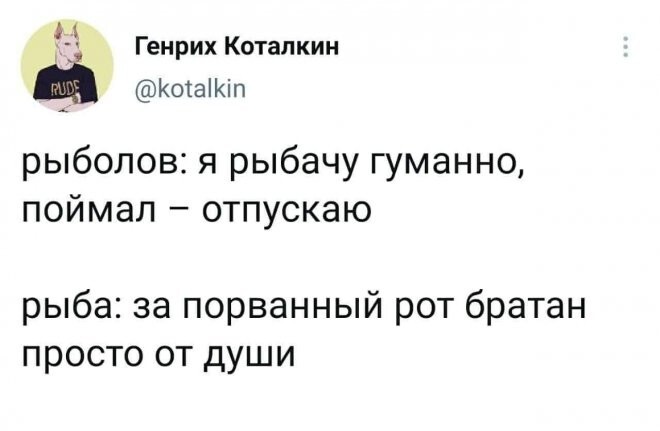 Скрины из соцсетей 