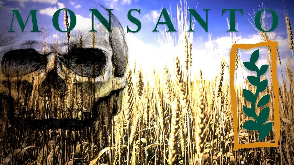 Завалим Европу ГМО: зачем американские корпорации скупают земли на Украине