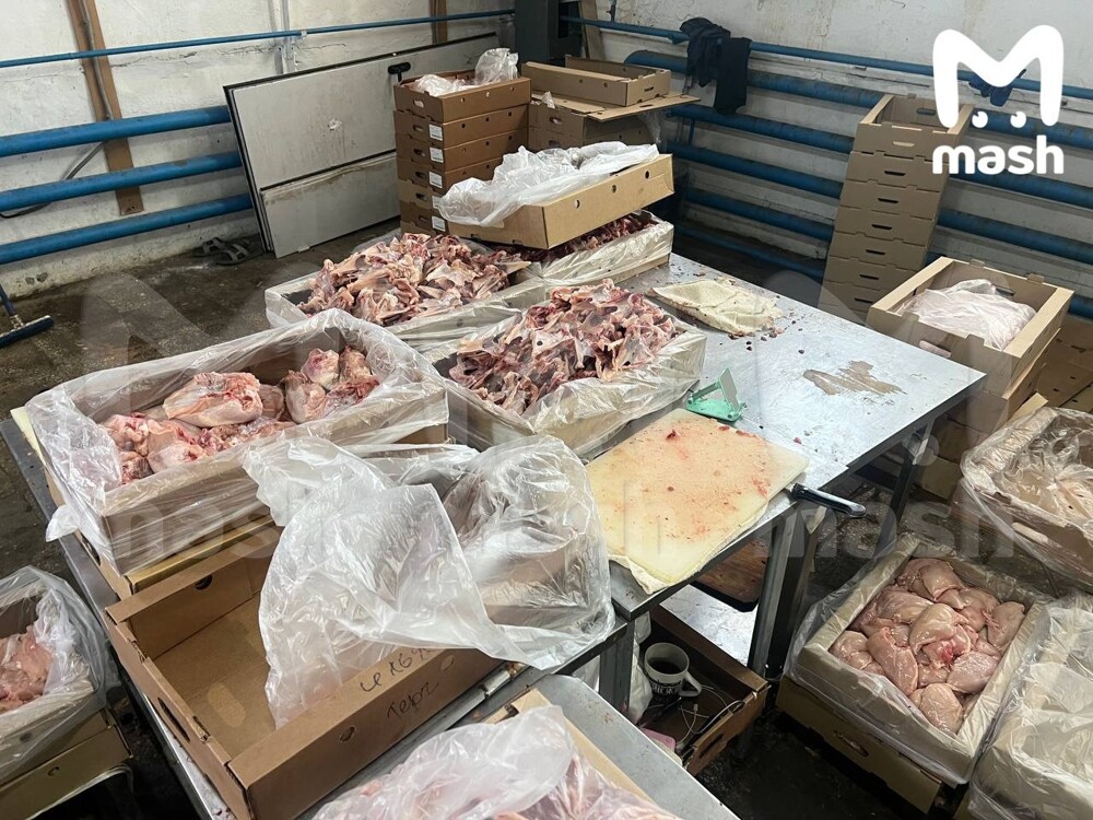 На складе в Свердловской области нашли десятки килограммов тухлятины для шаурмичных
