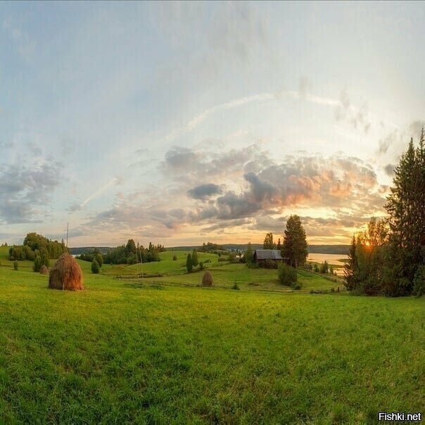 Солянка от 31.08.2023