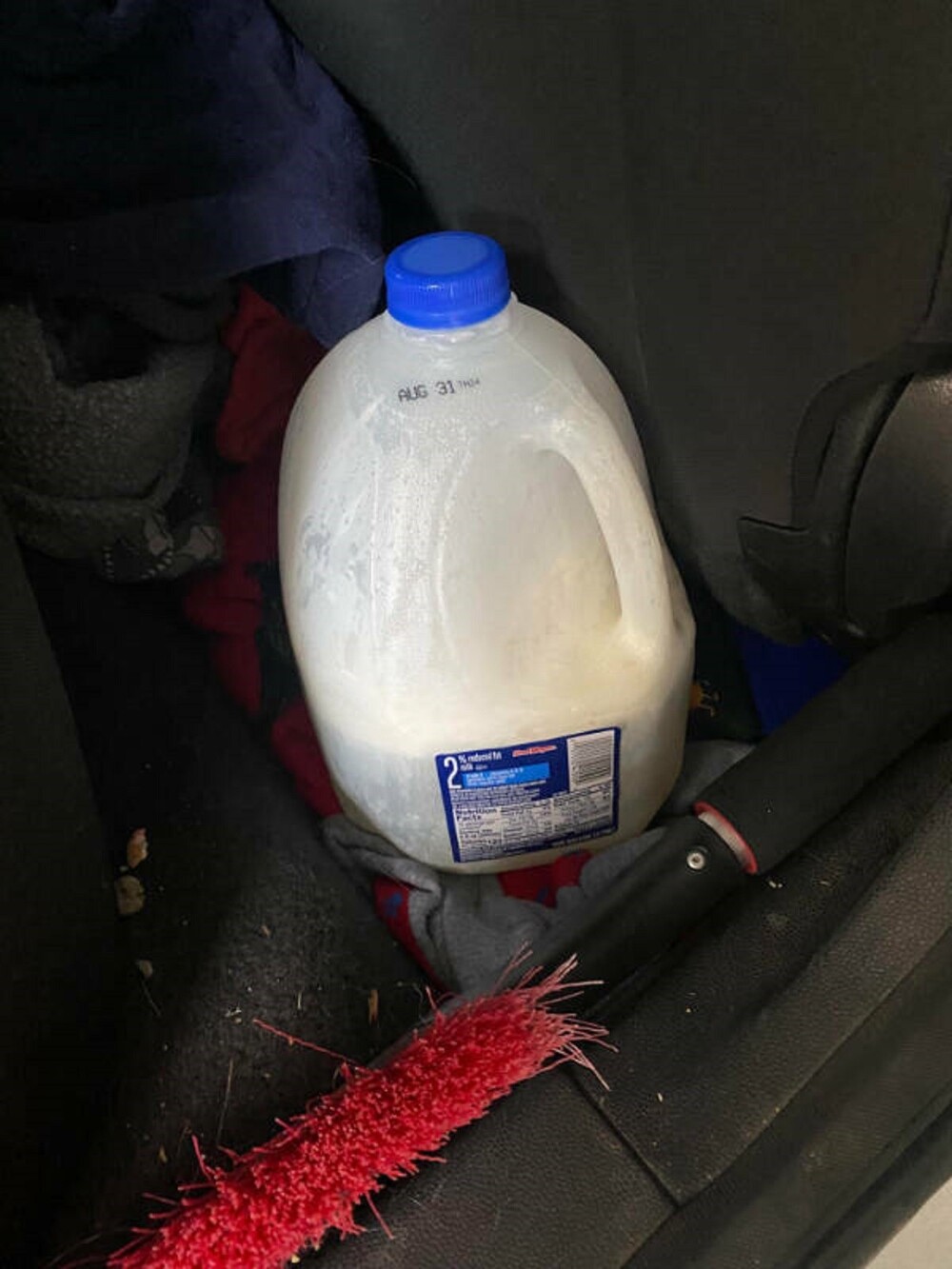 11. "Случайно оставил молоко в машине на неделю. Теперь в салоне пахнет сыром"