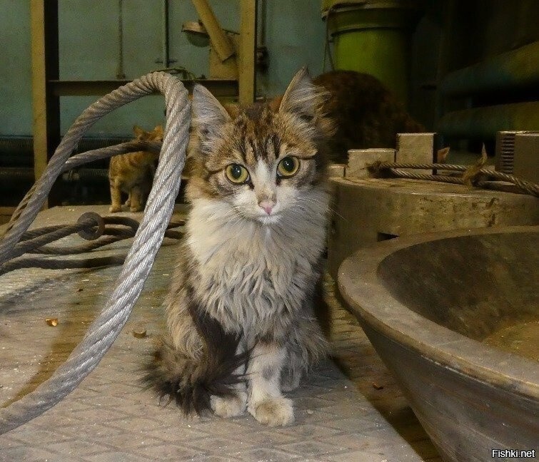 Лучшие работники месяца