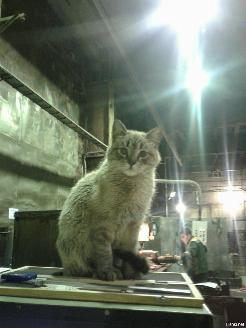 Лучшие работники месяца