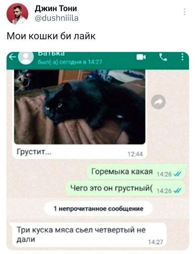 Скрины из соцсетей 