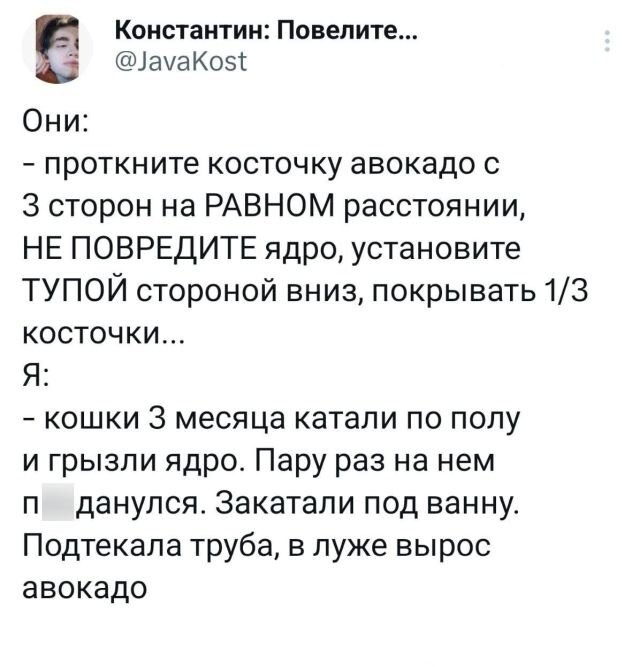 Скрины из соцсетей 