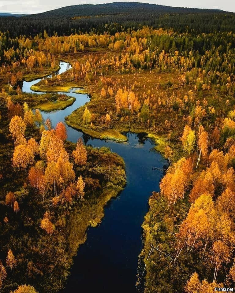 Солянка от 01.09.2023