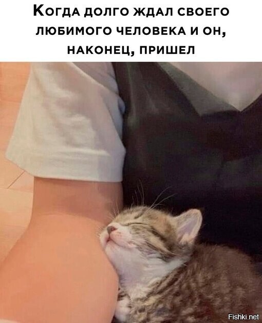 Солянка от 01.09.2023