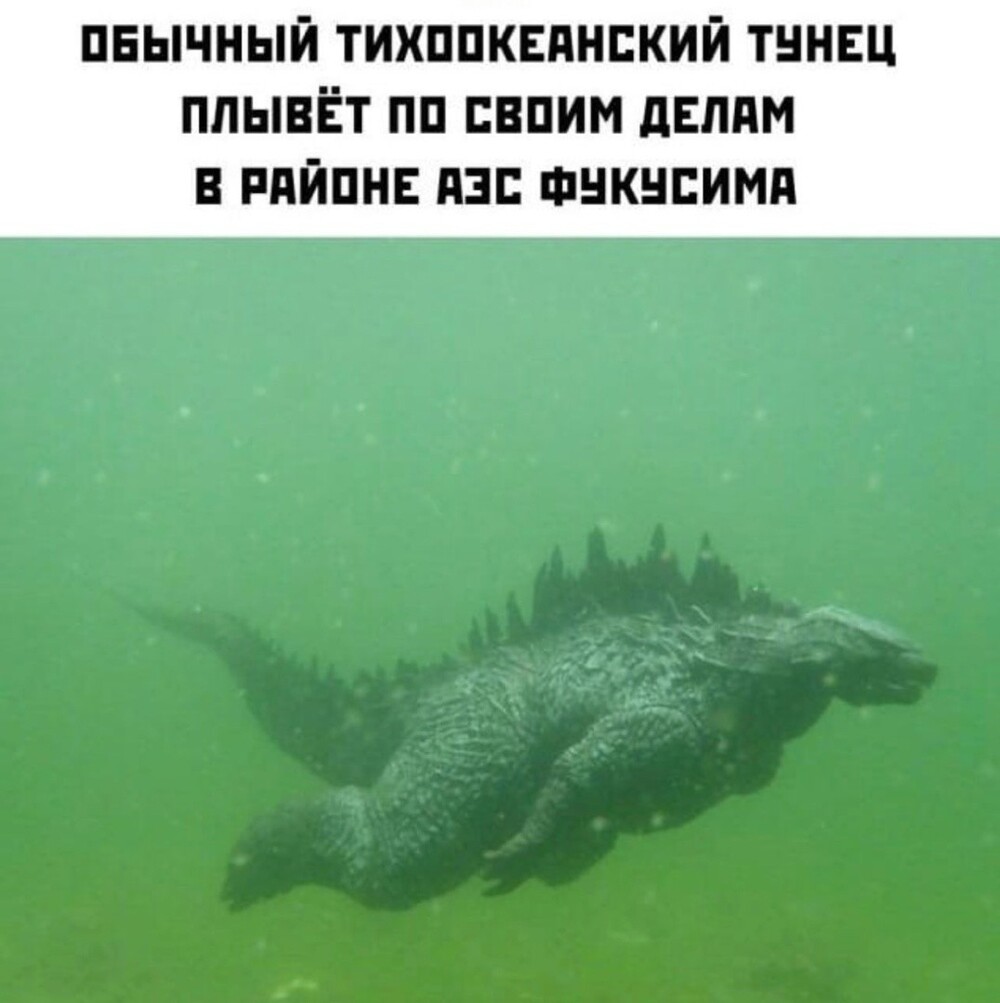 О политике и не только