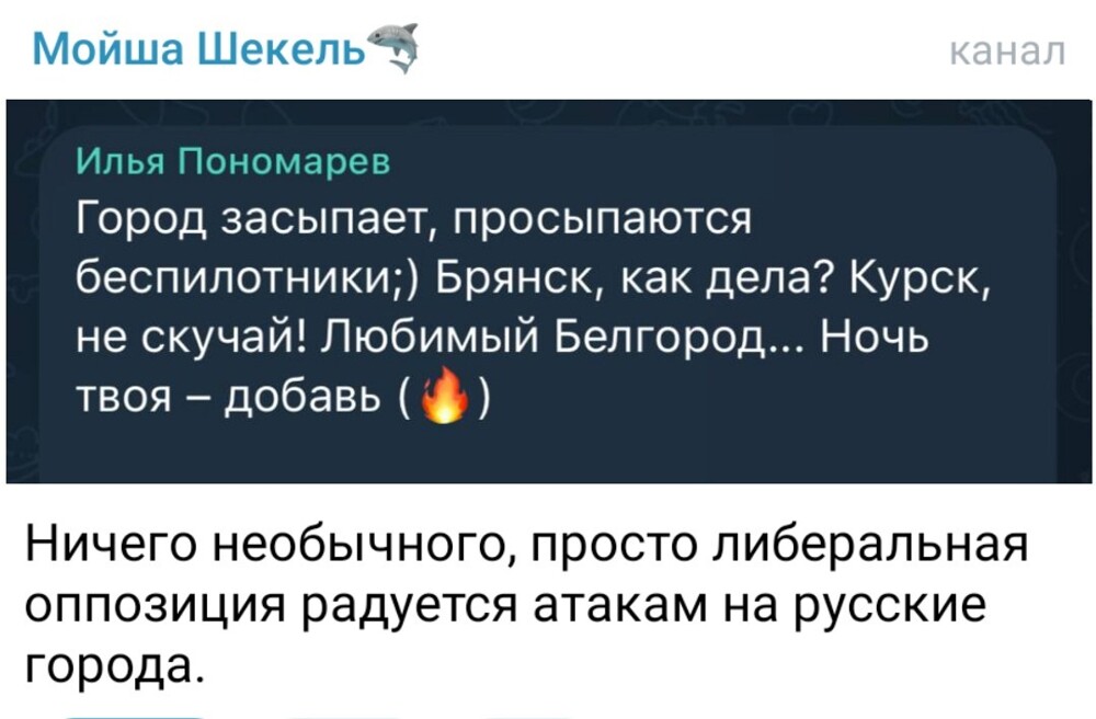 О политике и не только