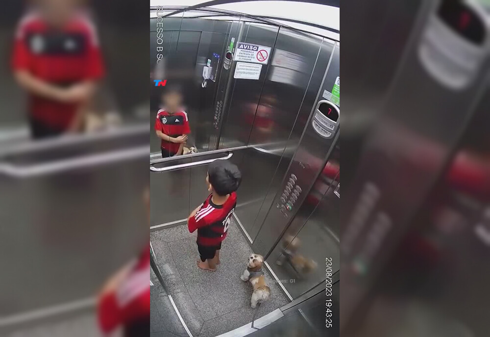 В Бразилии на видео попало спасение пёсика, которого едва не зажевало в лифте
