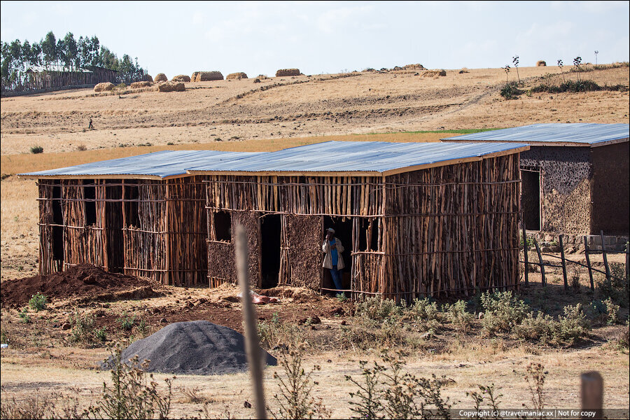 Зато не в ипотеку: как выглядят загородные виллы представителей среднего класса в Эфиопии