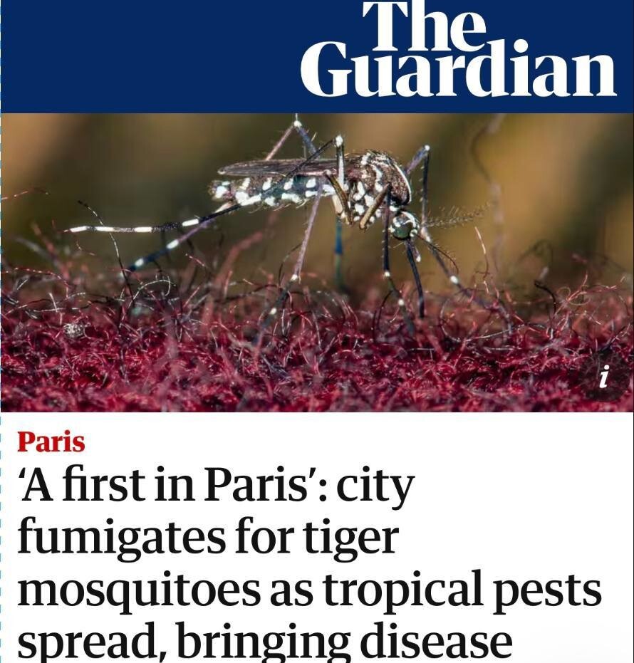 Заразные комары заполонили Париж