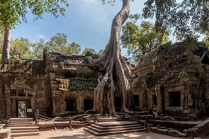 5. Храм Та Промх в Камбодже