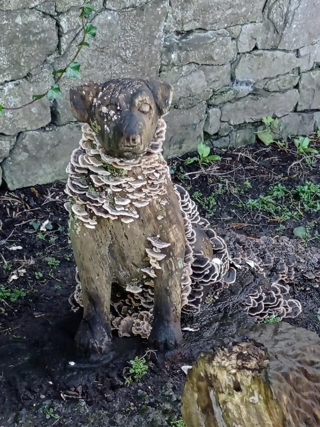 37. Деревянная скульптура собаки в местном парке