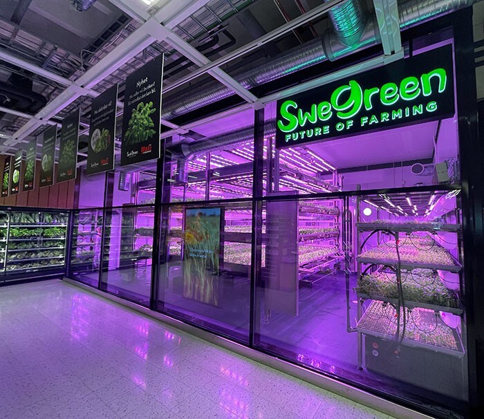 30. Шведский супермаркет выращивает свою зелень прямо в здании магазина