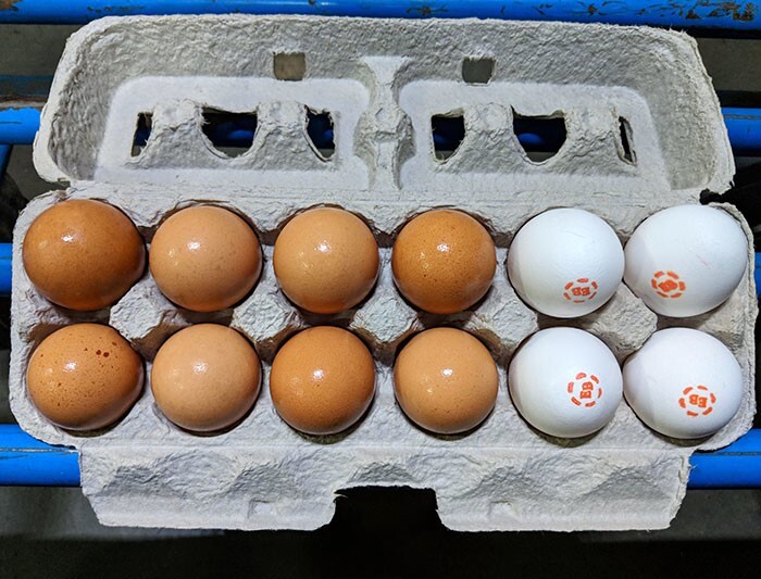 27. Если среди яиц в пачке есть несколько разбитых - её не выбрасывают целиком. Сохранившиеся яйца складывают в отдельную пачку, и продают по сниженной цене