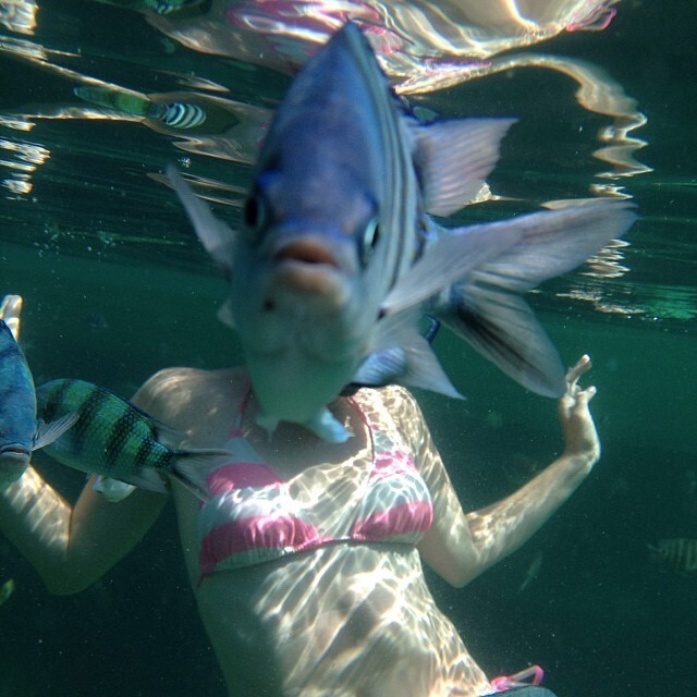2. "Мой друг попытался сфотографировать жену под водой во время медового месяца"
