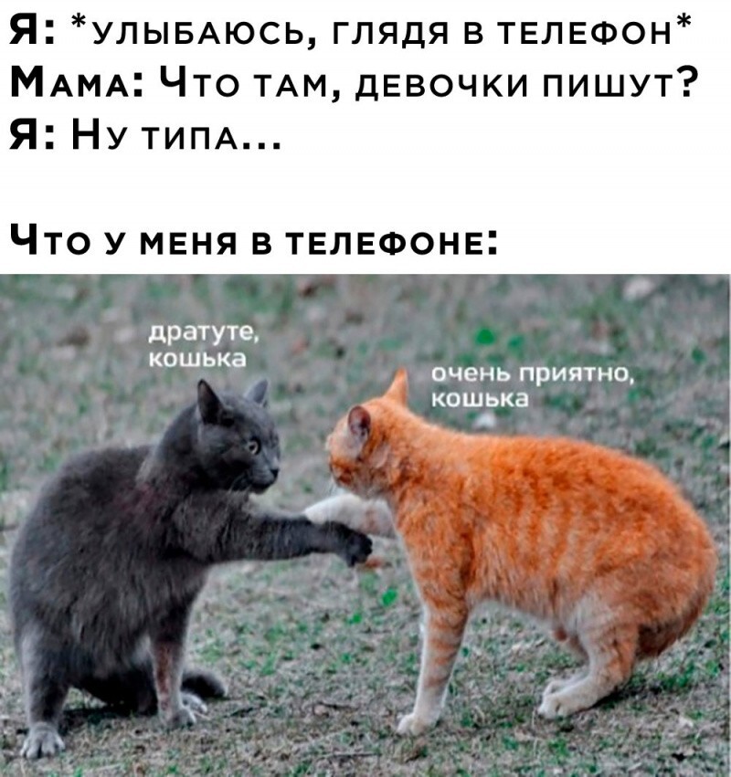 Всё вразнобой 