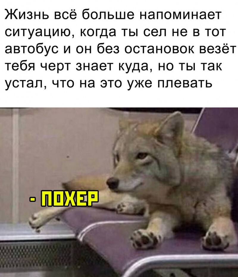 Всё вразнобой 