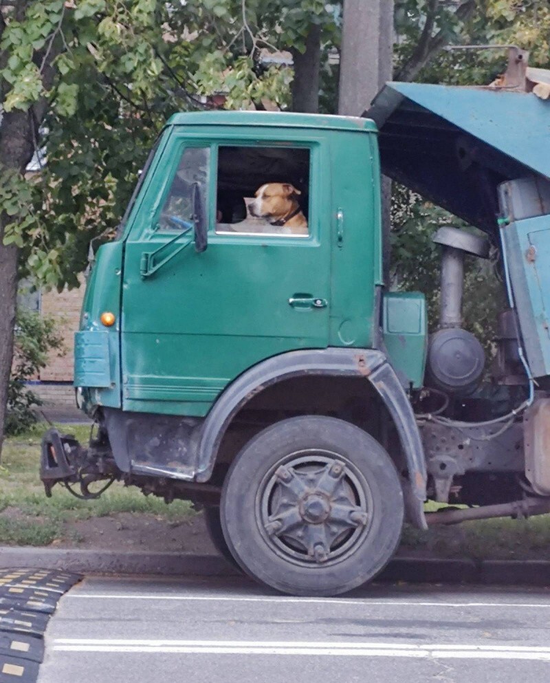 Всё вразнобой 