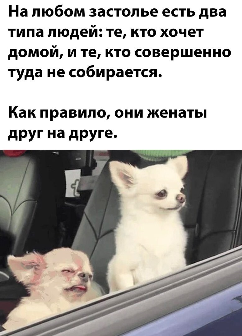 Всё вразнобой 