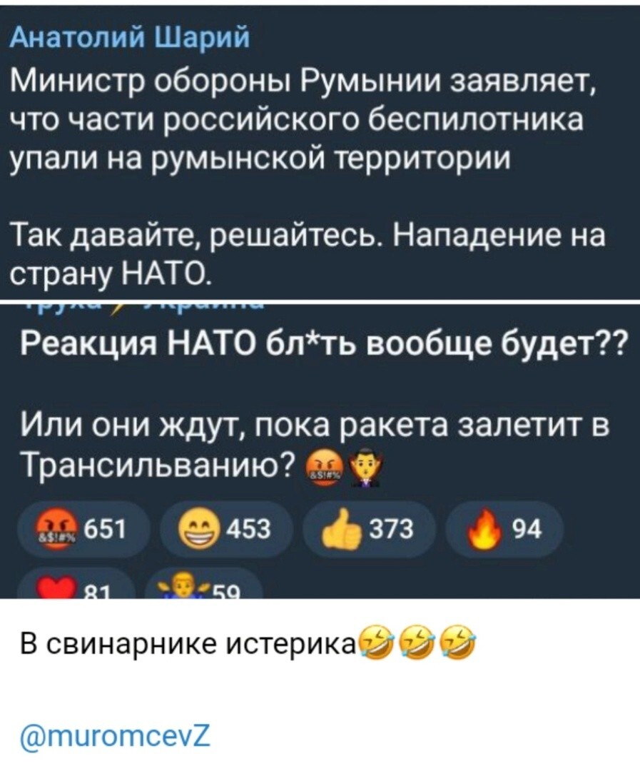 "Хохлы е@ули по цыганам. Мы к этому отношения не имеем"-Конашенков прокомментировал слухи о падении обломков российских БПЛА на румынской территории.