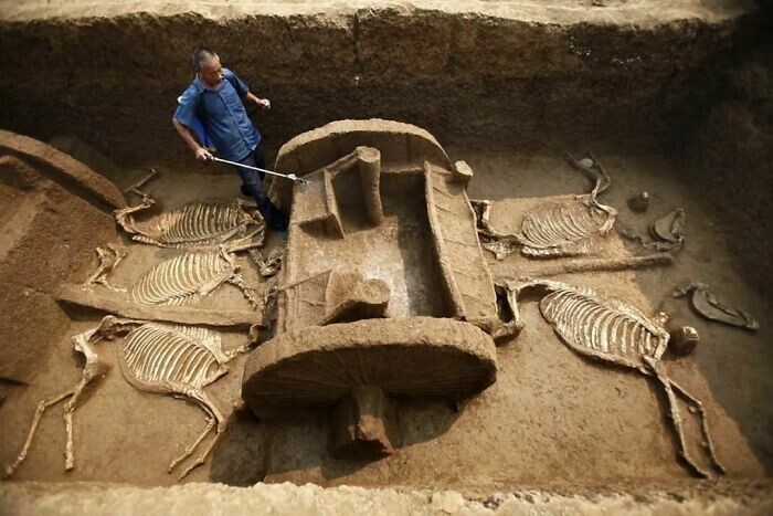 24. На фото - тысячелетняя колесница, недавно обнаруженная в городе Лоян, Китай. Сотрудник распыляет на ценный артефакт воду, чтобы предотвратить высыхание