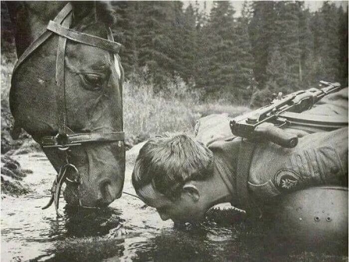 9. Польский пограничник и его лошадь пьют воду из ручья, Бещады, 1980 год