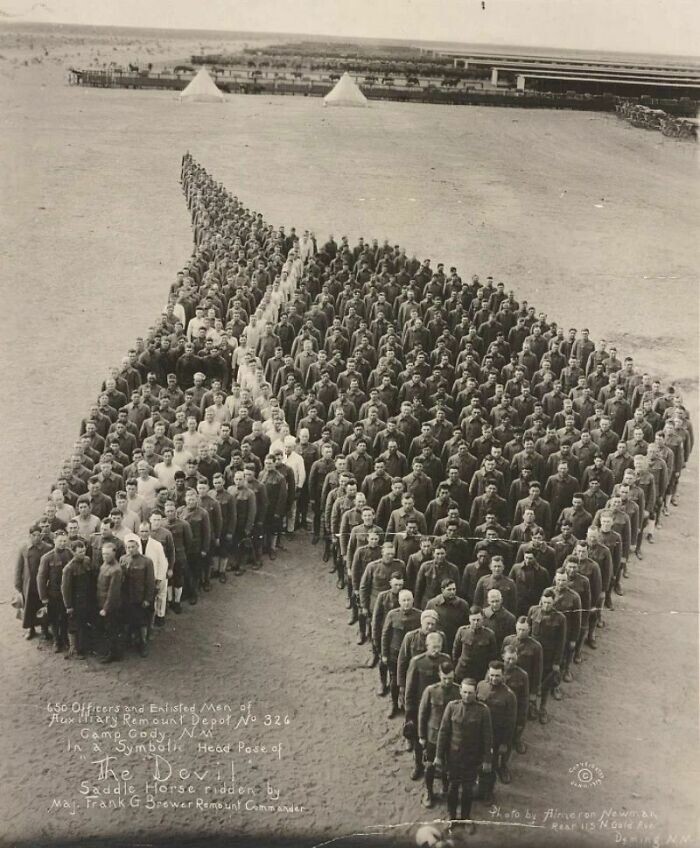 3. 650 американских офицеров и рядовых выстроились в форме лошади, отдавая дань памяти более чем 8 млн лошадей, мулов и ослов, погибших в Первой мировой войне