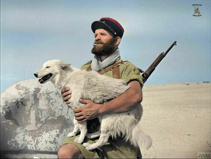 22. Солдат Французского иностранного легиона держит собаку по кличке Фриц, которая была "талисманом" батальона. Его приняли в батальон в 1940 году, и с тех пор пёс был рядом с солдатами
