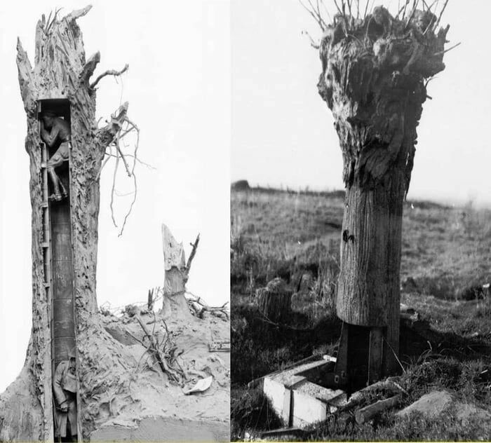 27. Искусственное дерево, которое использовала британская армия в качестве наблюдательного пункта. Первая мировая война