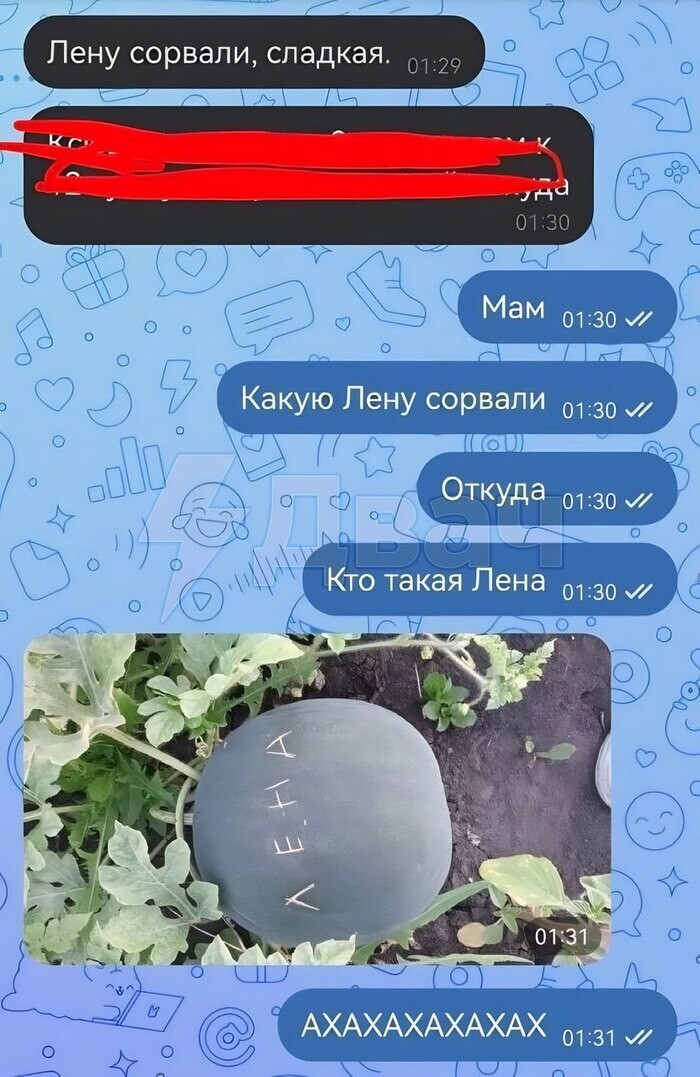 Скрины из соцсетей 