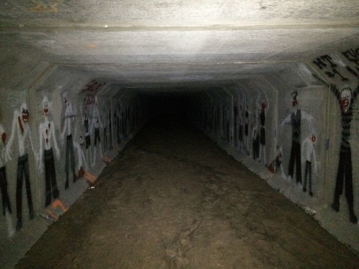15. «Нашел друзей в туннеле длиной в полтора километра, который проходит под моим жилым домом»