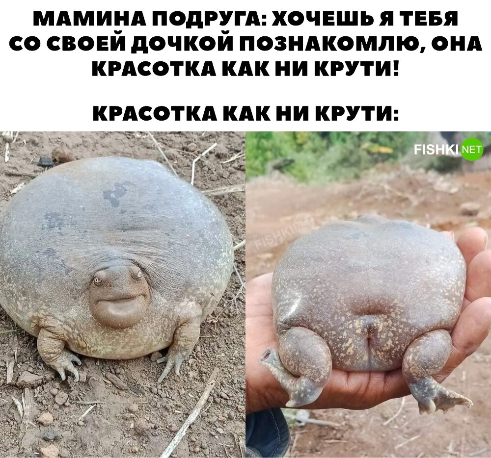 Классика 