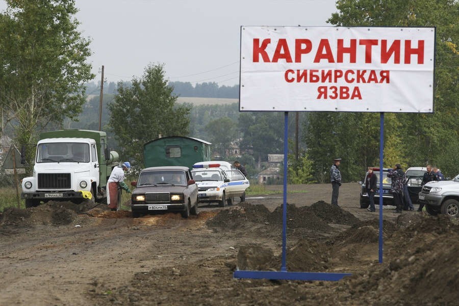 В Воронежской области семь человек госпитализированы с подозрением на сибирскую язву