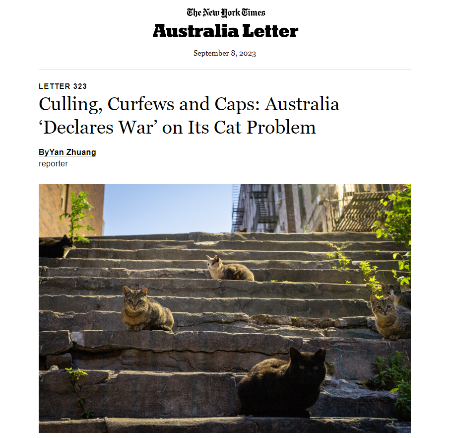 В Австралии объявили войну котикам