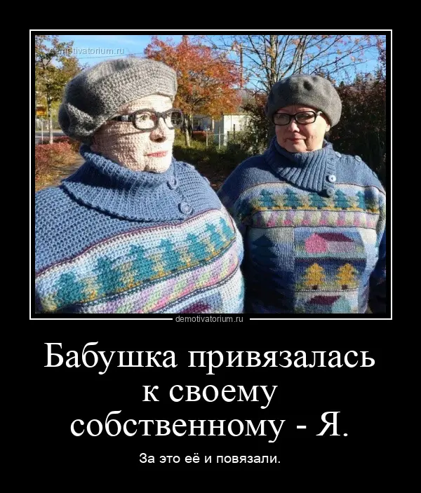 4068demotivatorium-ru-babushka-privjazal