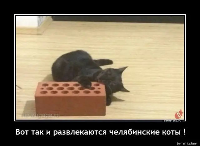 54791694072879-demotivatory-6.jpg.webp
