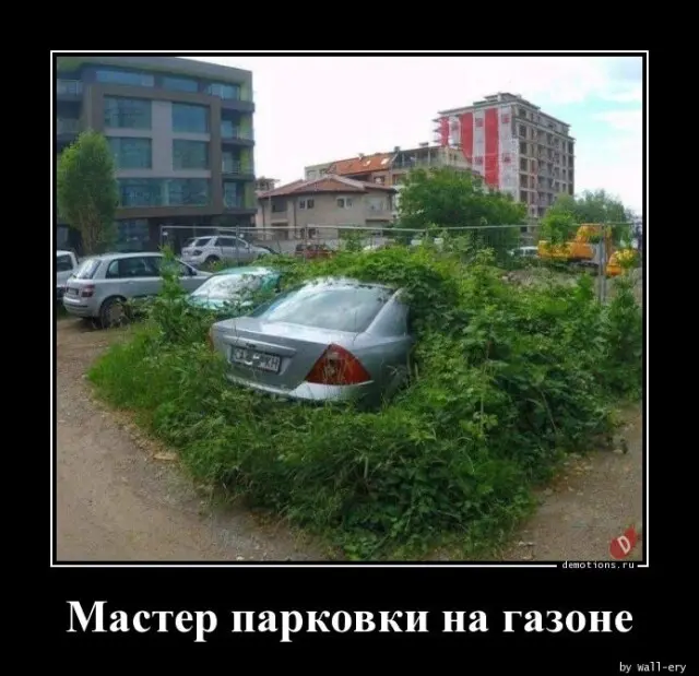 65631694166606-demki-13.jpg.webp