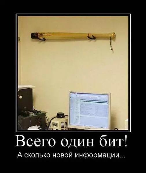 73061694166605-demki-11.jpg.webp