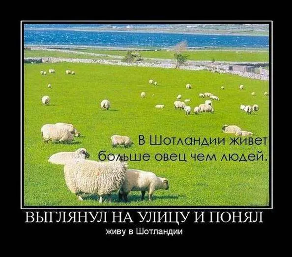 86471694166605-demki-10.jpg.webp