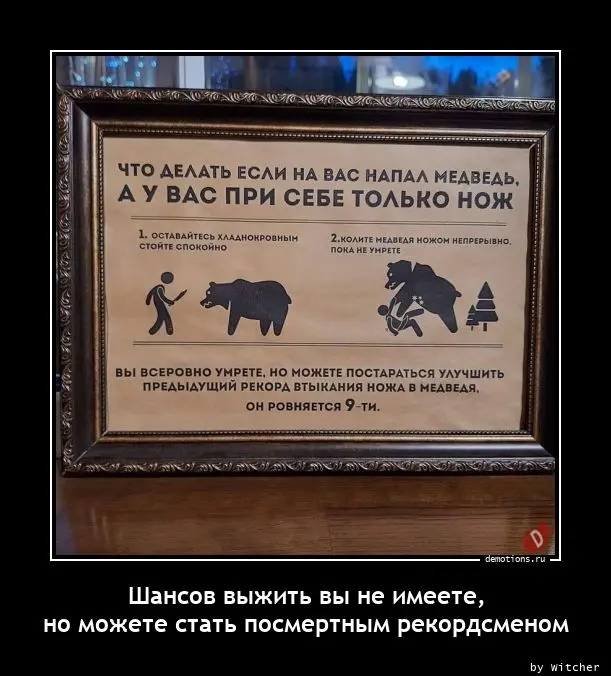 92911694101707-shansov-vyzhit-vy-ne-demo